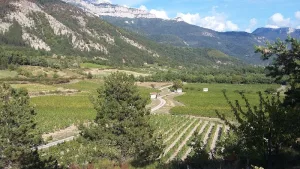 Electricien Adnot Olivier à Châtillon-en-Diois