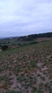 Electricien Vadepied Reynald à 81310 Lisle-sur-Tarn