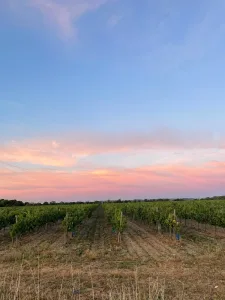 Electricien Faro Serge à Migron