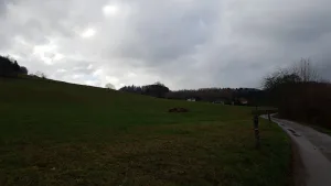 Electricien Eurl Jacky Lepaul à Le Val-d'Ajol