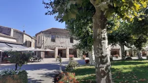 Electricien Coigdarens Lionel à Monein