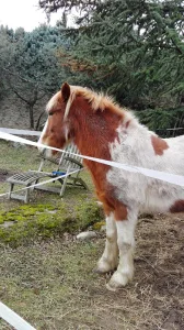 Electricien Despesse Patrick Maurice à 07130 Saint-Péray