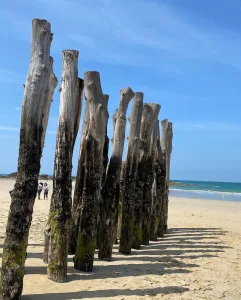 Electricien SP Confort à Eschentzwiller