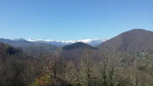 Electricien Suif Alain à 09320 Biert