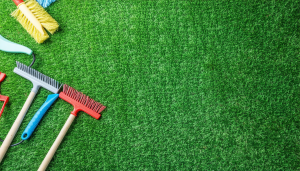 Avoir un gazon verdoyant toute l&rsquo;année est le rêve de nombreux propriétaires de jardins. Cependant, choisir le bon engrais pour votre gazon peut s&rsquo;avérer être un véritable défi. Avec une variété d&rsquo;options disponibles, allant des engrais organiques aux engrais à [&hellip;]