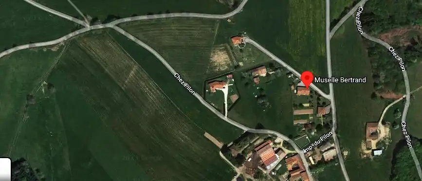 Electricien Muselle Bertrand à 42780 Violay