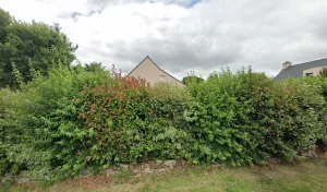 Electricien Dagorne Bruno à Sulniac