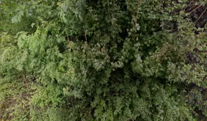 Electricien Werner Cedric à Haute-Kontz