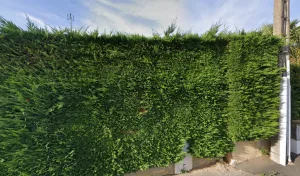 Electricien Manitta Gerard à Frans