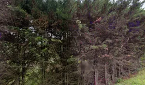 Electricien ASPIRELEC47 à Marmande