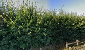 Electricien D. PAROTON (Electricité – Chauffage – Plomberie – Climatisation) à Guéret