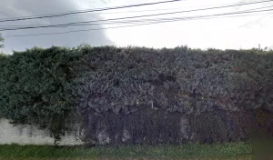 Electricien Iacobelli Philippe à Brindas