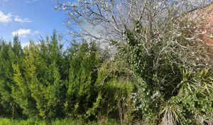 Electricien Brun Luc à 81140 Alos