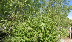 Electricien Arnaud gaudin AGEA à Saint-Martin-de-Nigelles