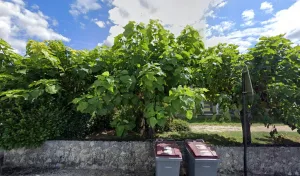 Electricien Solea à Castres