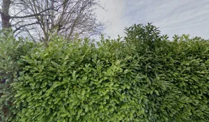 Electricien Suriano Electricite à Brié-et-Angonnes