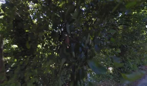 Electricien Societe Expl Bagur à Le Plan-de-la-Tour