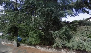 Electricien Ade Cedric à Feurs