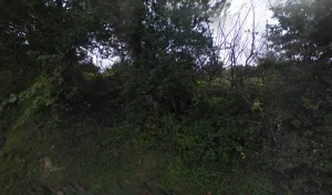 Electricien Thollot Laurent à 69700 Loire-sur-Rhône