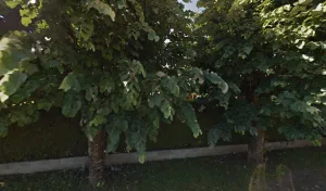 Electricien Boireau Jean-Claude à Saint-Loup-de-Varennes