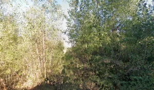 Electricien Autonhome Solution à Lempdes-sur-Allagnon