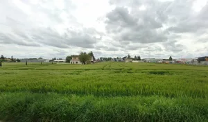 Electricien SAS Bonotto à Marmande