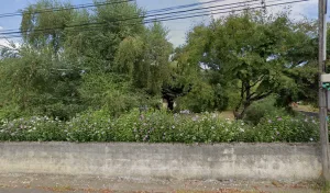 Electricien Lavignasse Paul à Bizanos