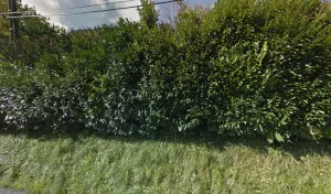 Electricien Bastard Jean-Paul à Saint-Jeoire