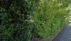 Electricien Eric Mathieu Electricité à Jassans-Riottier