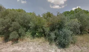 Electricien Electricité-Domotique-Vidéo-Sécurité à Quissac