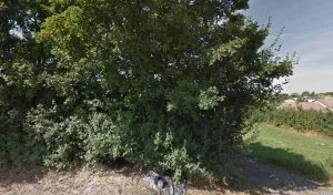 Electricien DEL ELEC à Langatte