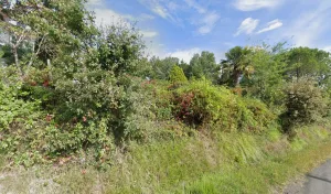 Electricien Bescond Jean-Yves à 47500 Monsempron-Libos