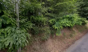 Electricien Eurl Liard à 87700 Aixe-sur-Vienne