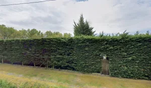 Electricien Cpélec à Saucats