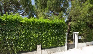 Electricien ANORELEC à Avrainville