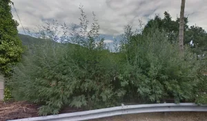 Electricien GECELEC – Électricité Générale & Climatisation à Amélie-les-Bains-Palalda