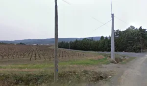 Electricien CODOU multiservices – travaux dépannage création à Prades-sur-Vernazobre