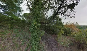 Electricien Sarl Correch Et Fils à Moissac