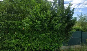 Electricien Esprit d&rsquo;Ouverture à Saint-Just-le-Martel