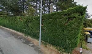 Electricien Joëlle Anglade à Millau