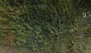 Electricien Sarl L Electricite de L Odon à 14350 Souleuvre en Bocage