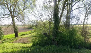 Electricien Ad Elec à Vars