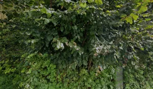 Electricien Devoitinne Freddy à Bogny-sur-Meuse