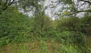 Electricien Fourmont Christophe à La Milesse