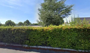 Electricien Seelec Sarl à Cormontreuil