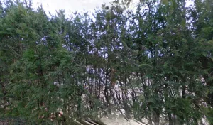 Electricien Hutin à Vias