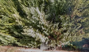 Electricien Artisan L.DERVAUX à Pertuis