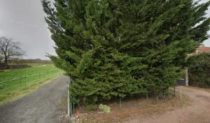 Electricien Fibre Elec Concept à Villeperdue