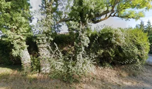 Electricien RAFFIN ELECTRICITE à Laubressel