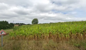 Electricien Ehanno Thierry à Plourin-lès-Morlaix